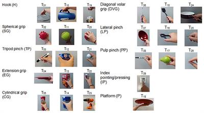 Grasping Ability and Motion Synergies in Affordable Tendon-Driven Prosthetic Hands Controlled by Able-Bodied Subjects